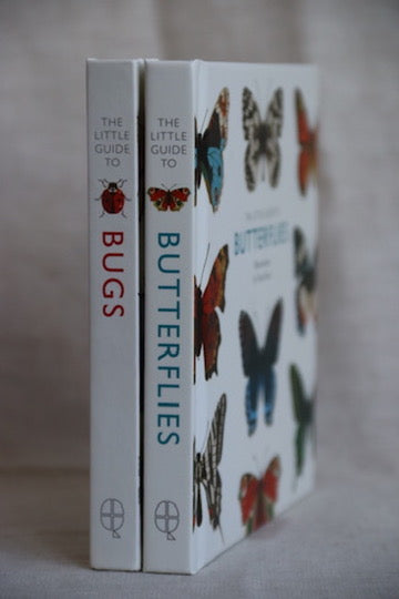 Set of Two Little Guide Books - Bugs and Butterflies