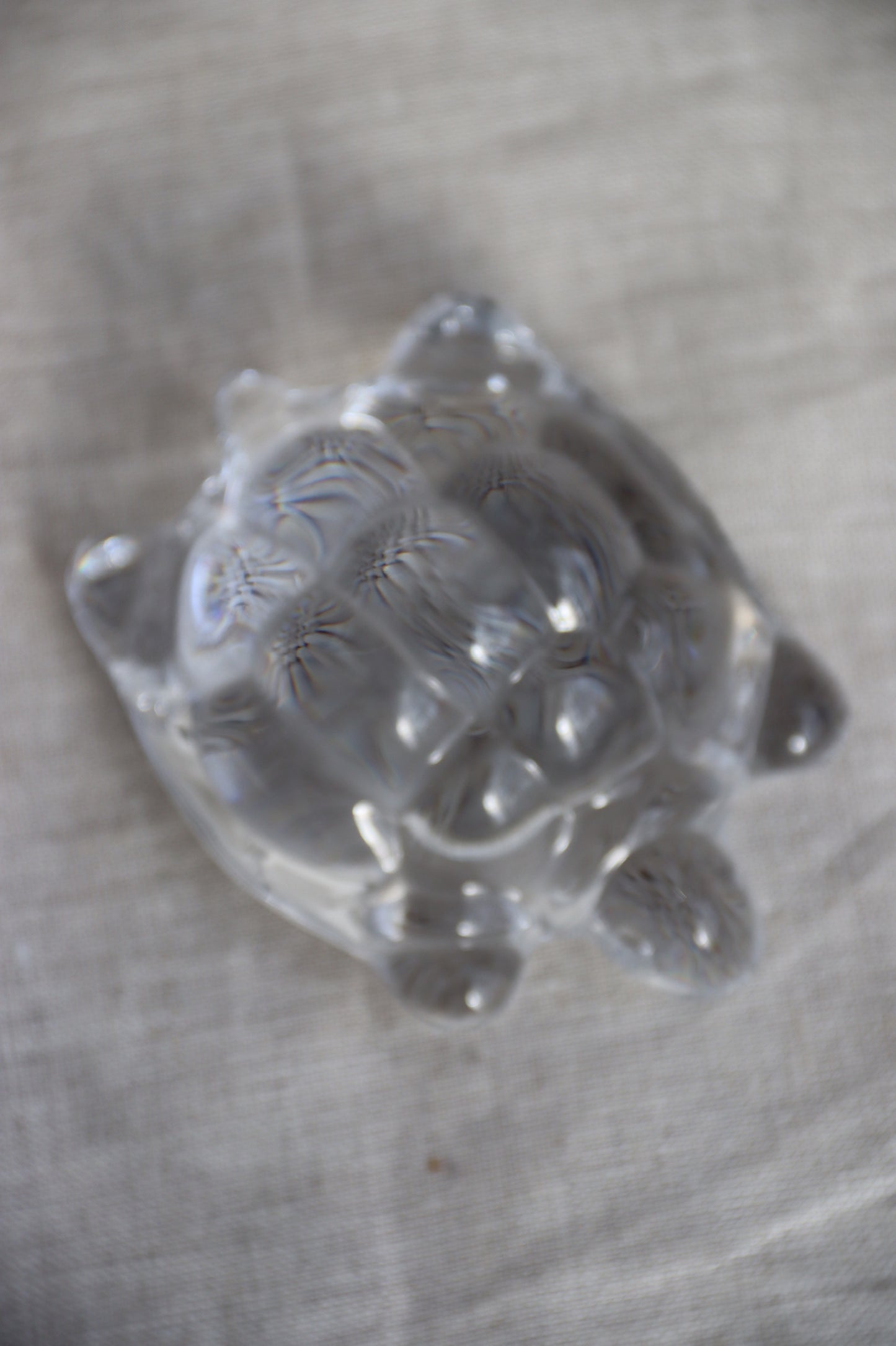 Daum Crystal Turtle Paperweight
