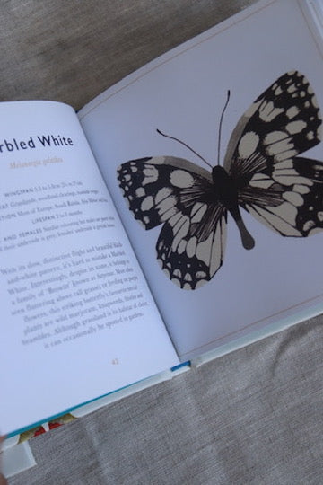 Set of Two Little Guide Books - Bugs and Butterflies