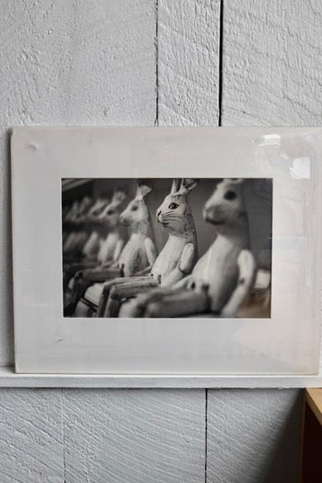 Signed "Rabbits" Photograph