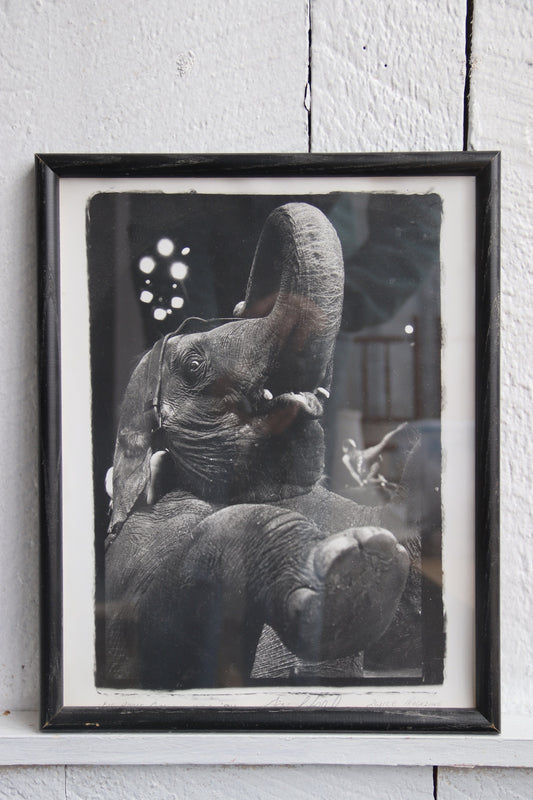 Signed "Big Apple Circus" Print from 2wice Magazine