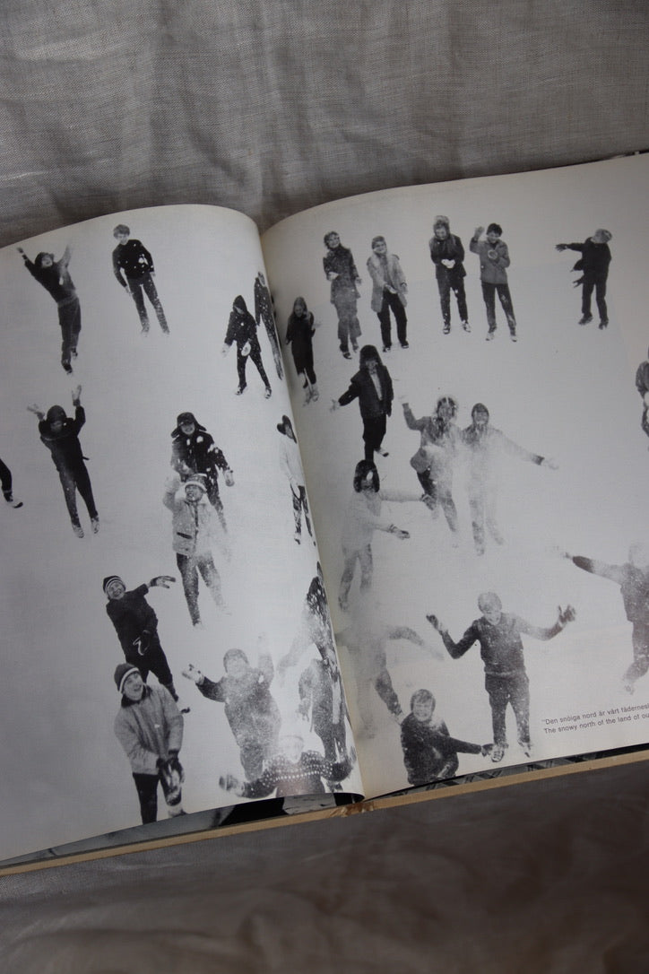 Swedes Svenskar Book