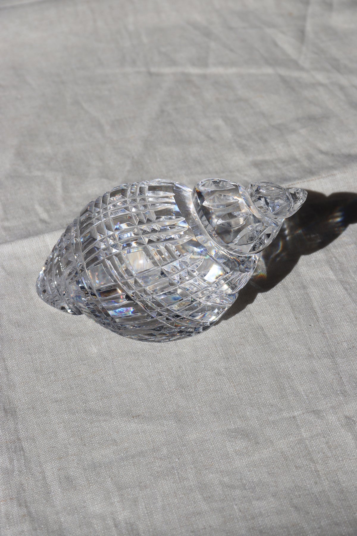Waterford Crystal Shell Paperweight