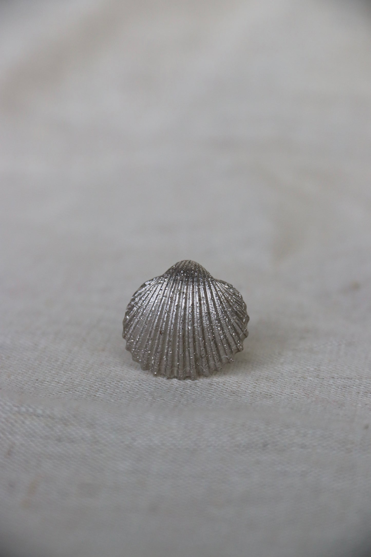 Sterling Silver Shell Ring