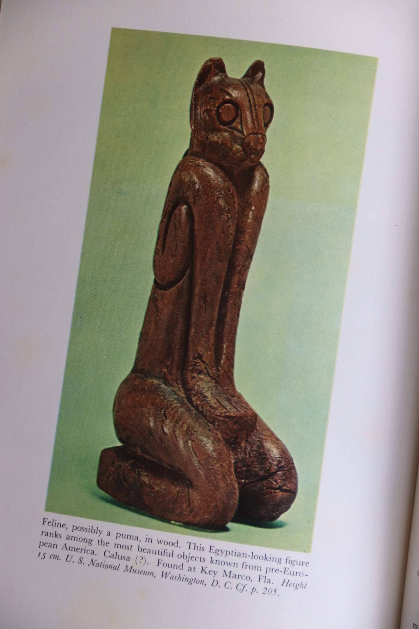 Set of Two Art of The World Books