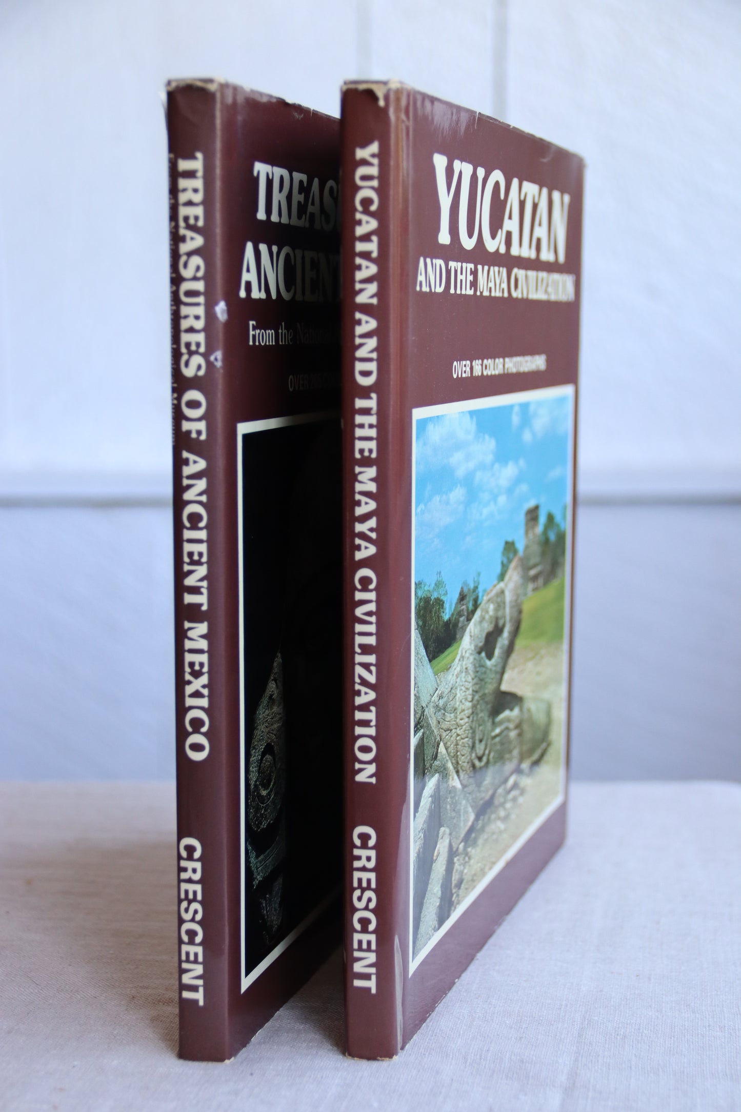 Set of Two Crescent Art History Books