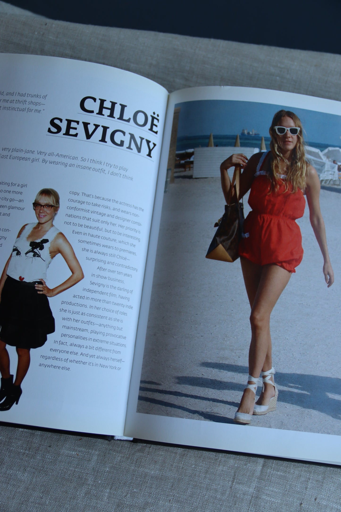 Fashionista - A Century of Style Icons by Simone Werle