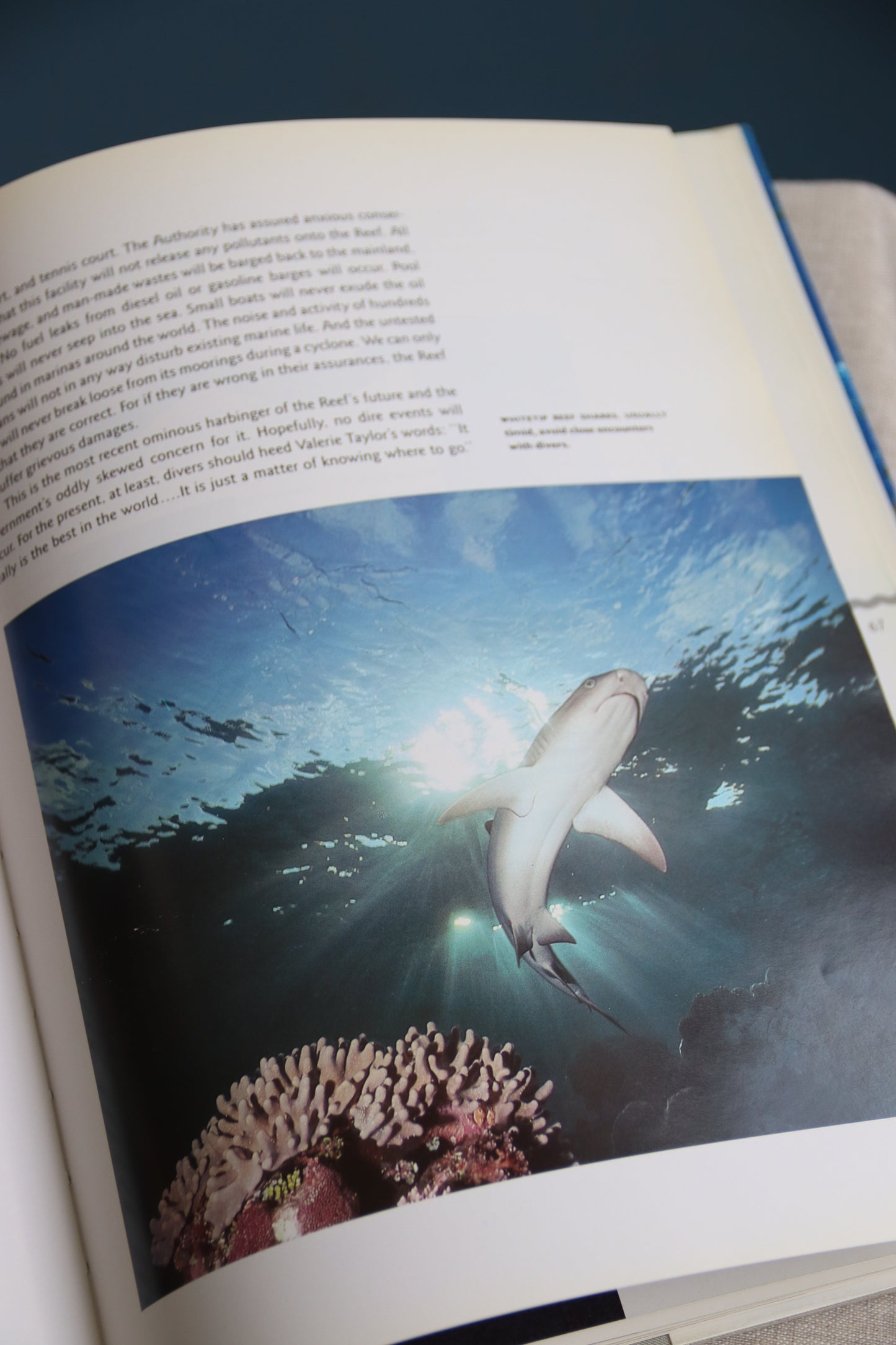 Underwater Paradise - The World's Best Diving Sites