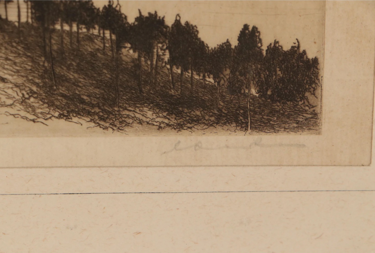 C. Dickens - Etching - "The Lake of Ullswater" - Early 20th Century