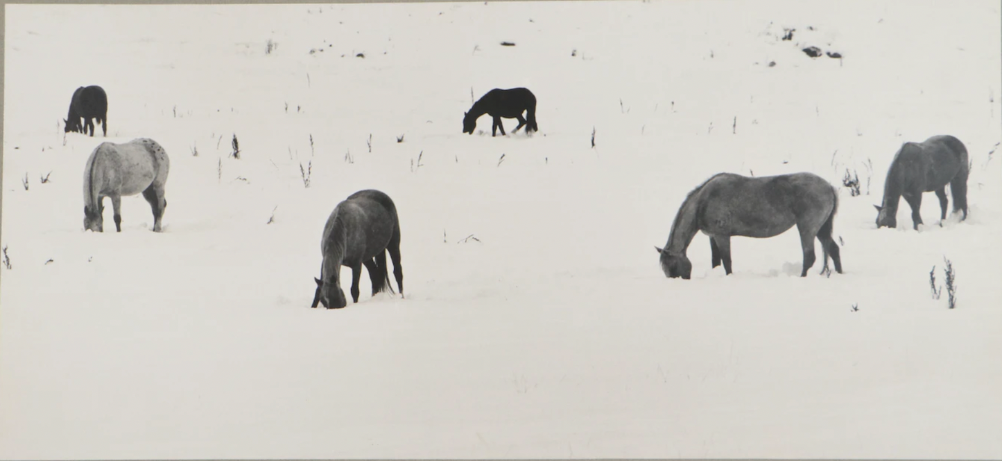 Grant M. Haist Silver Gelatin Print Photographs