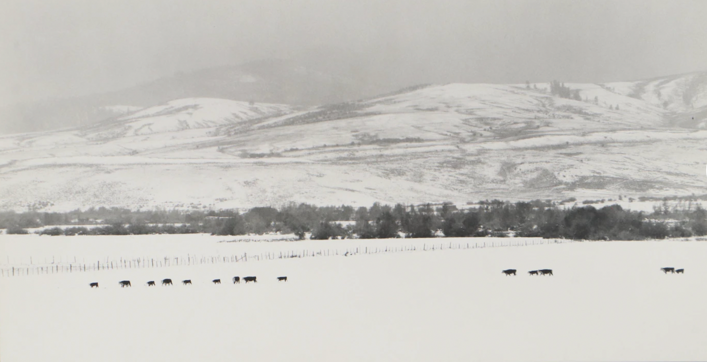 Grant M. Haist Silver Gelatin Print Photographs