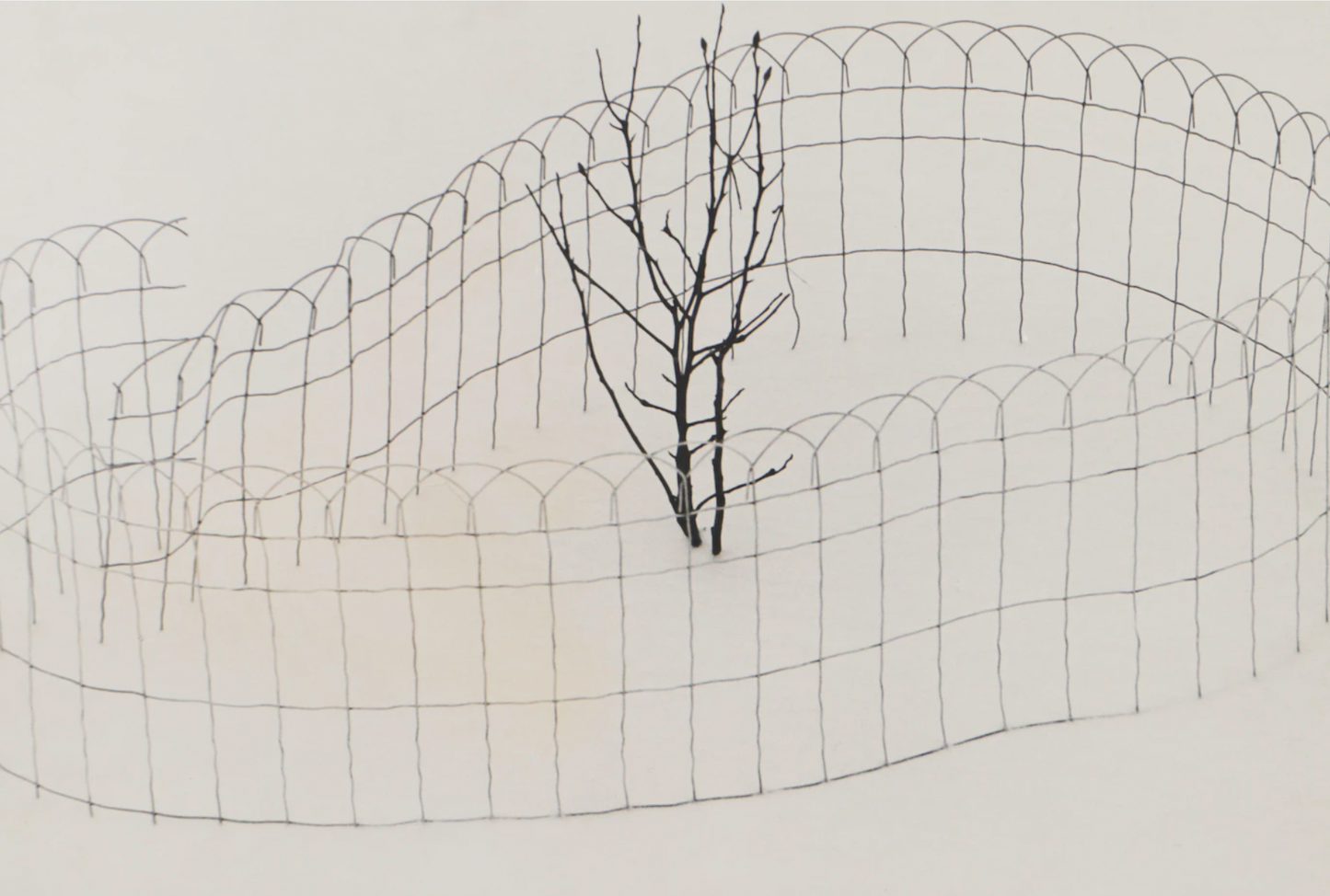Grant M. Haist Silver Gelatin Print Photographs