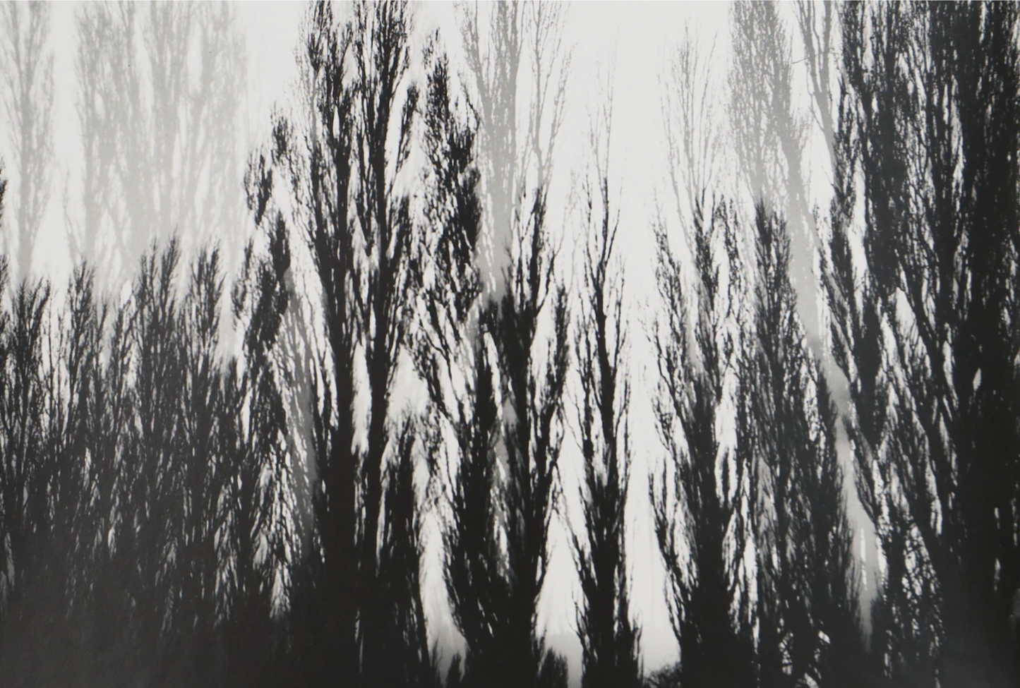 Grant M. Haist Silver Gelatin Print Photographs