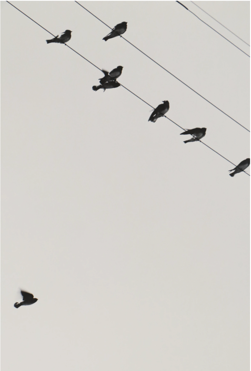 Grant M. Haist Silver Gelatin Print Photographs