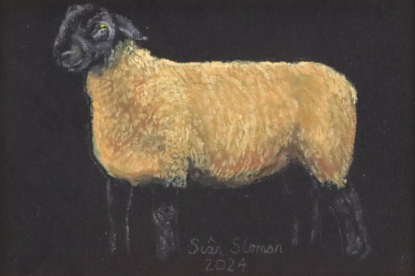 Siân Sloman Oil Painting of Sheep 1