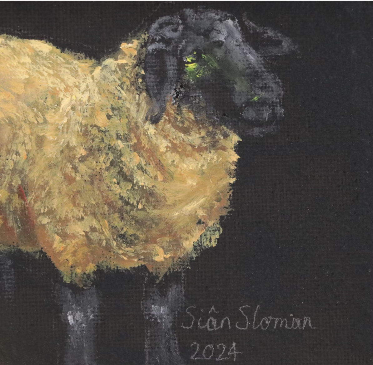 Siân Sloman Oil Painting of Sheep 2