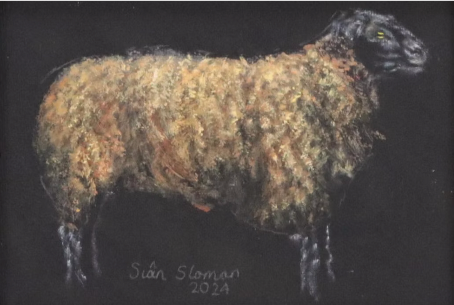 Siân Sloman Oil Painting of Sheep 4