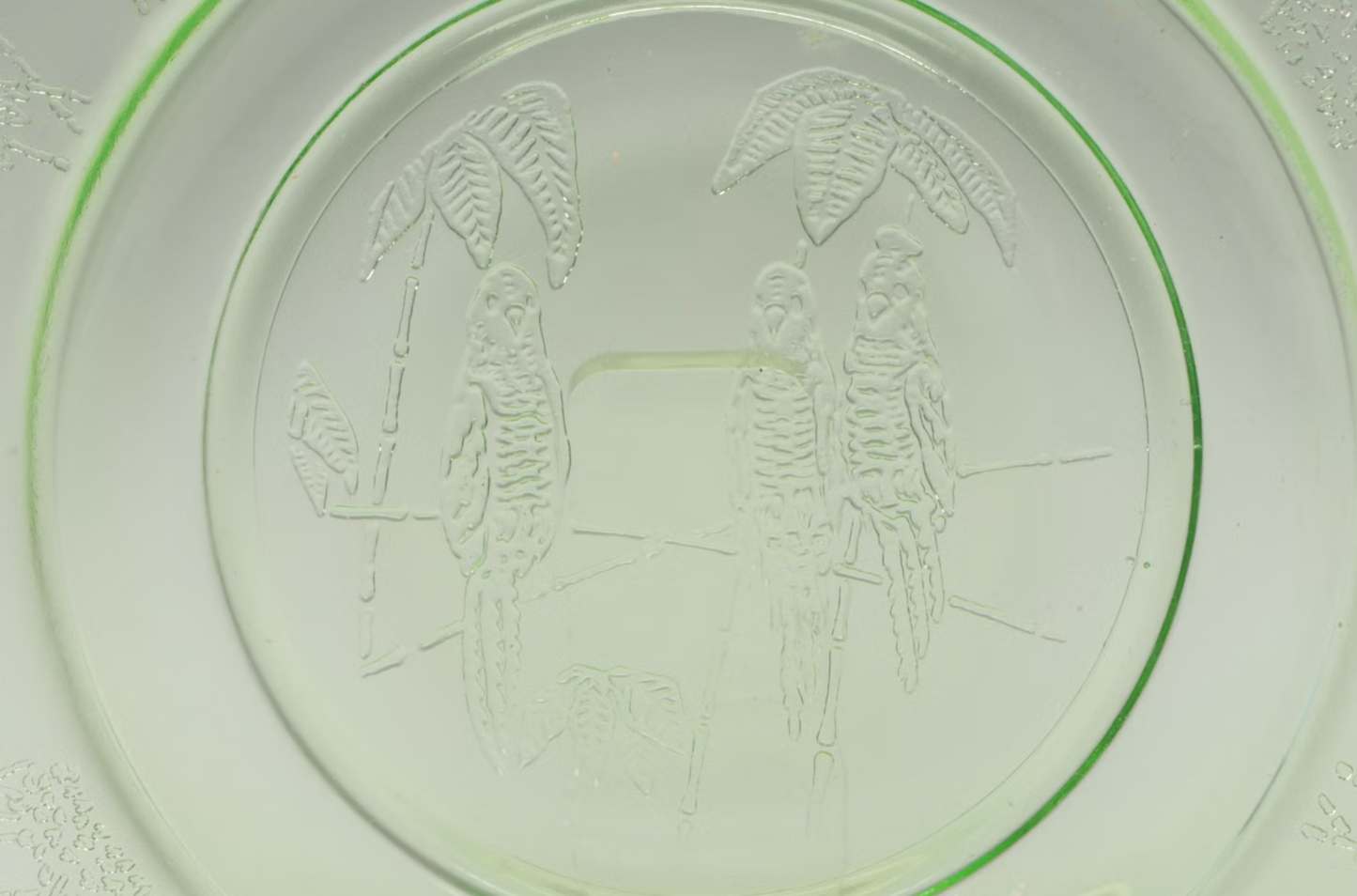 Anchor Hocking Parrot Green Federal Glass Dinner Plate