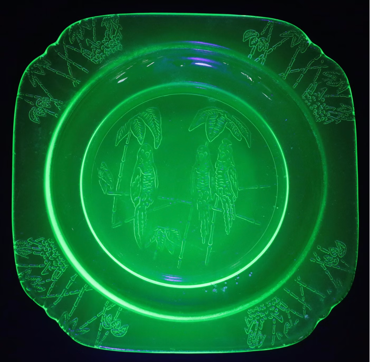 Anchor Hocking Parrot Green Federal Glass Dinner Plate