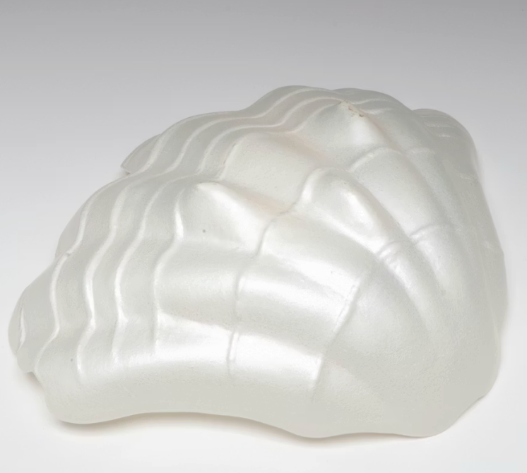 Iridescent Shell Bowl