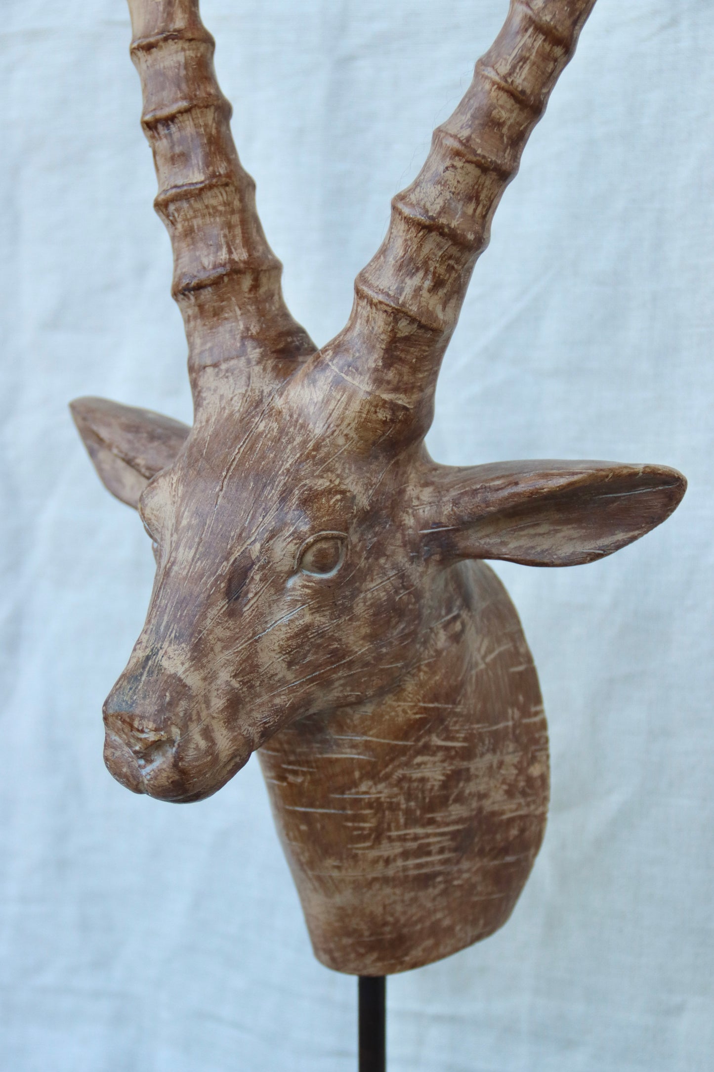 Antelope Head