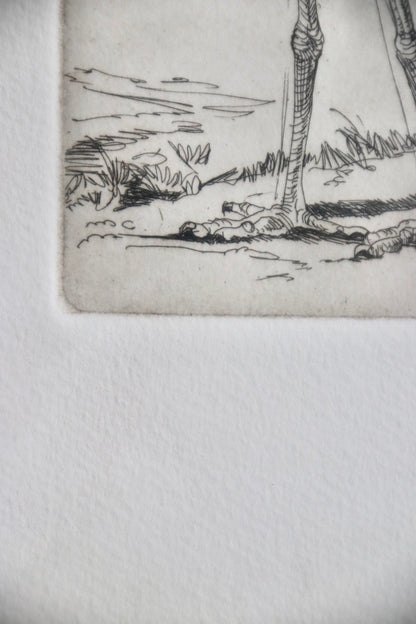 Shoebill Stork Framed Etching