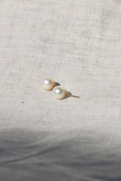 Pearl Stud Earrings - 14k Yellow Gold