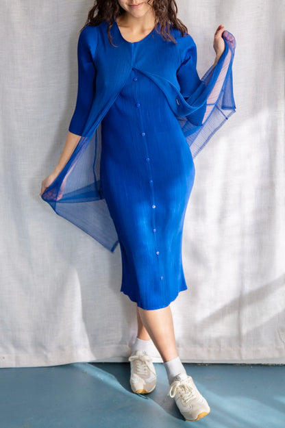 Blue Pleated Dress