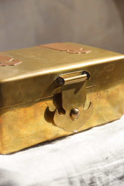 Brass Box with Copper Hinges