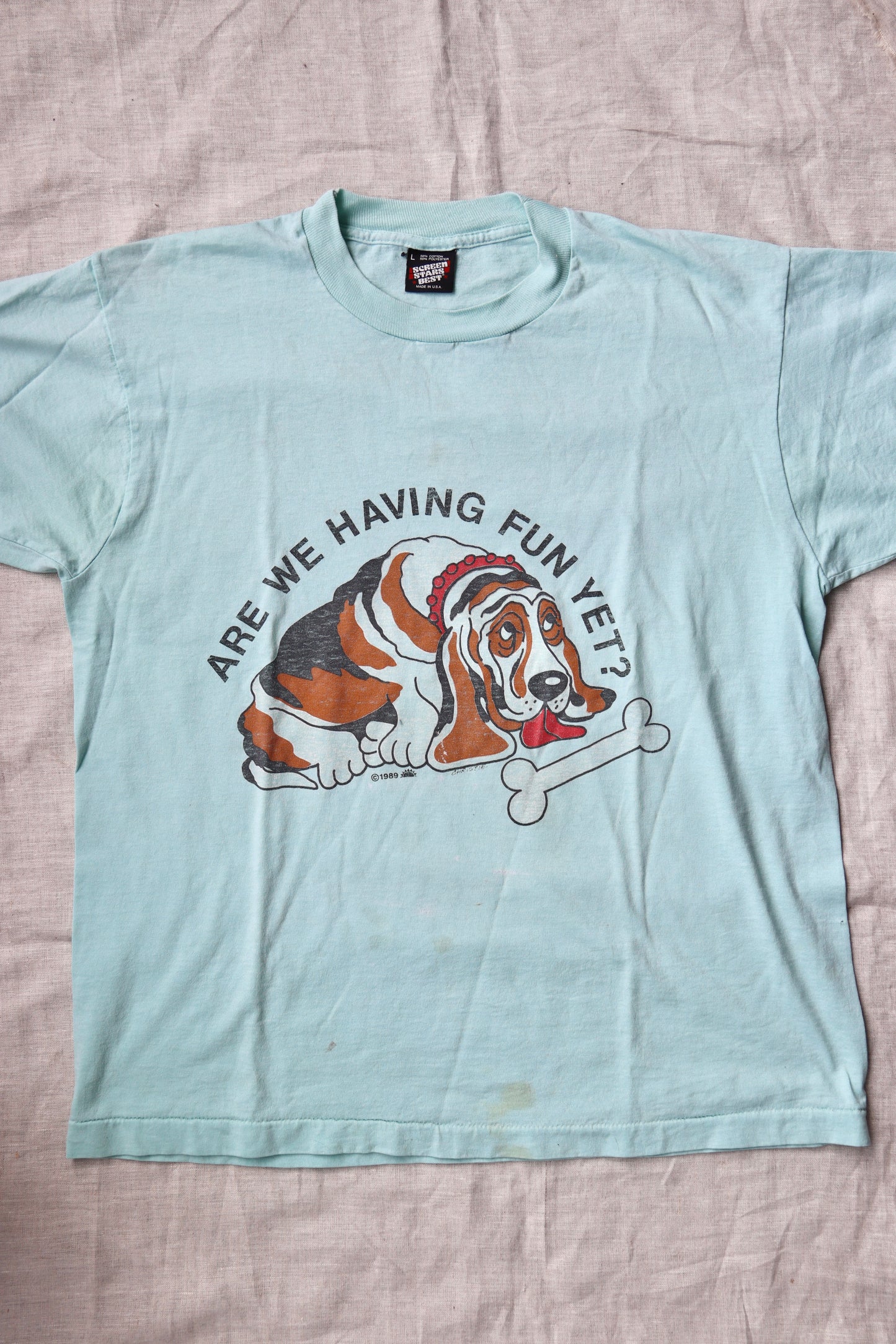 Are We Having Fun Yet? Tshirt