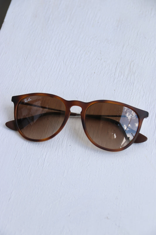 Rayban Erika Sunglasses