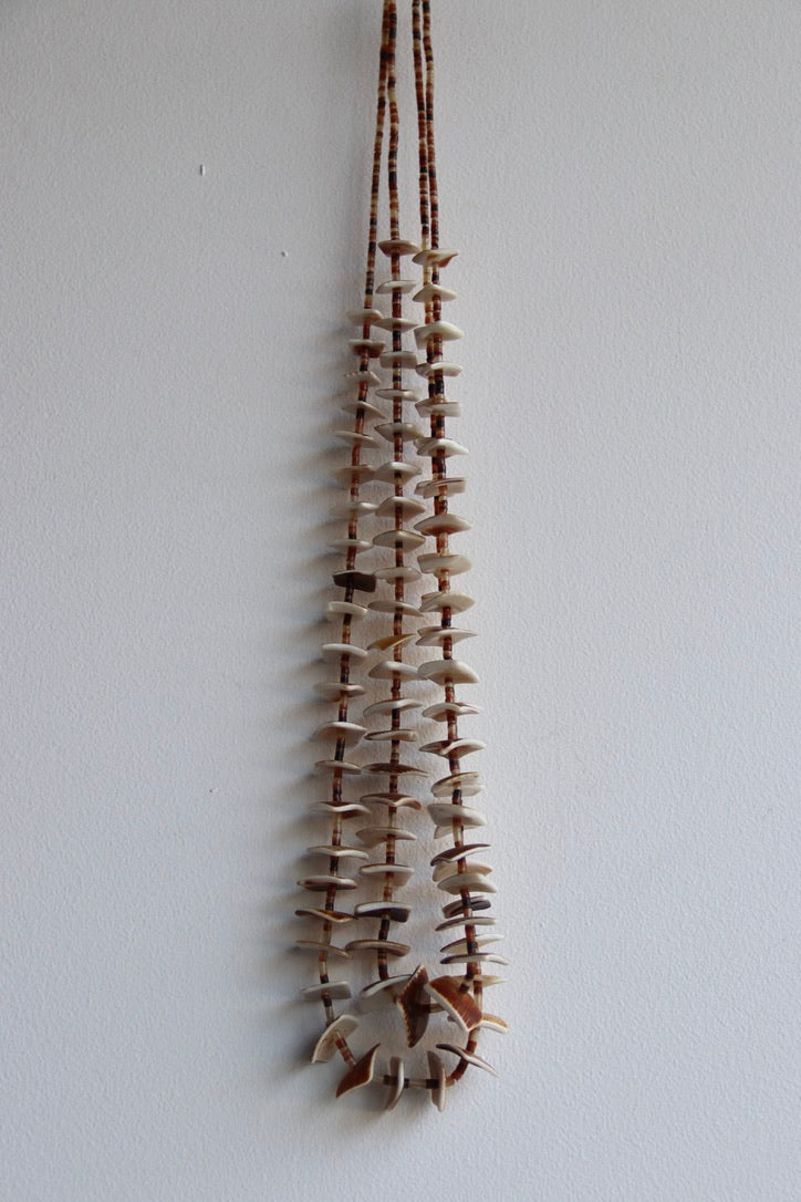 Double Strand Long Shell Necklace