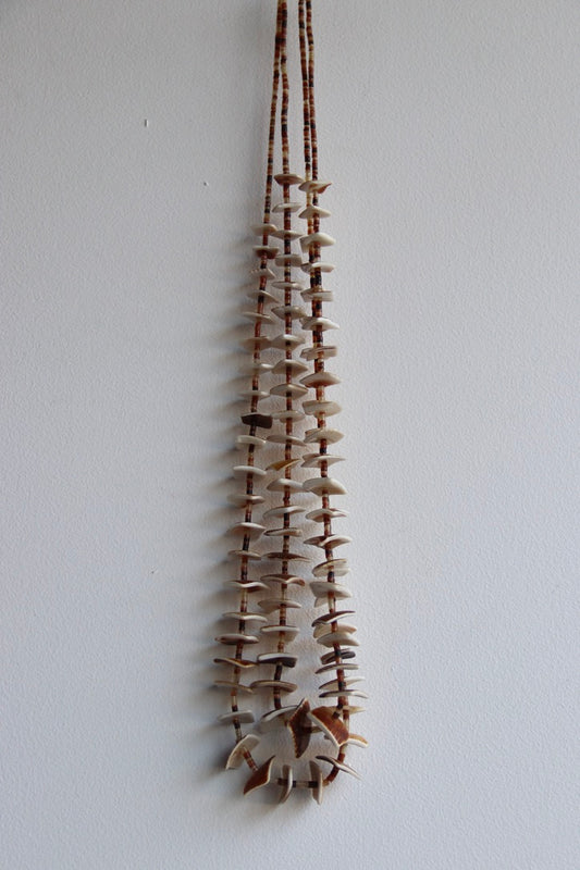 Double Strand Long Shell Necklace