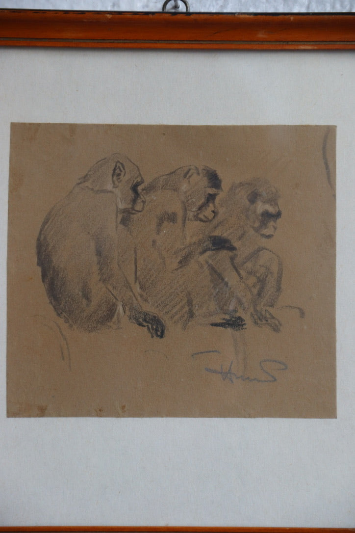 three monkeys drawing