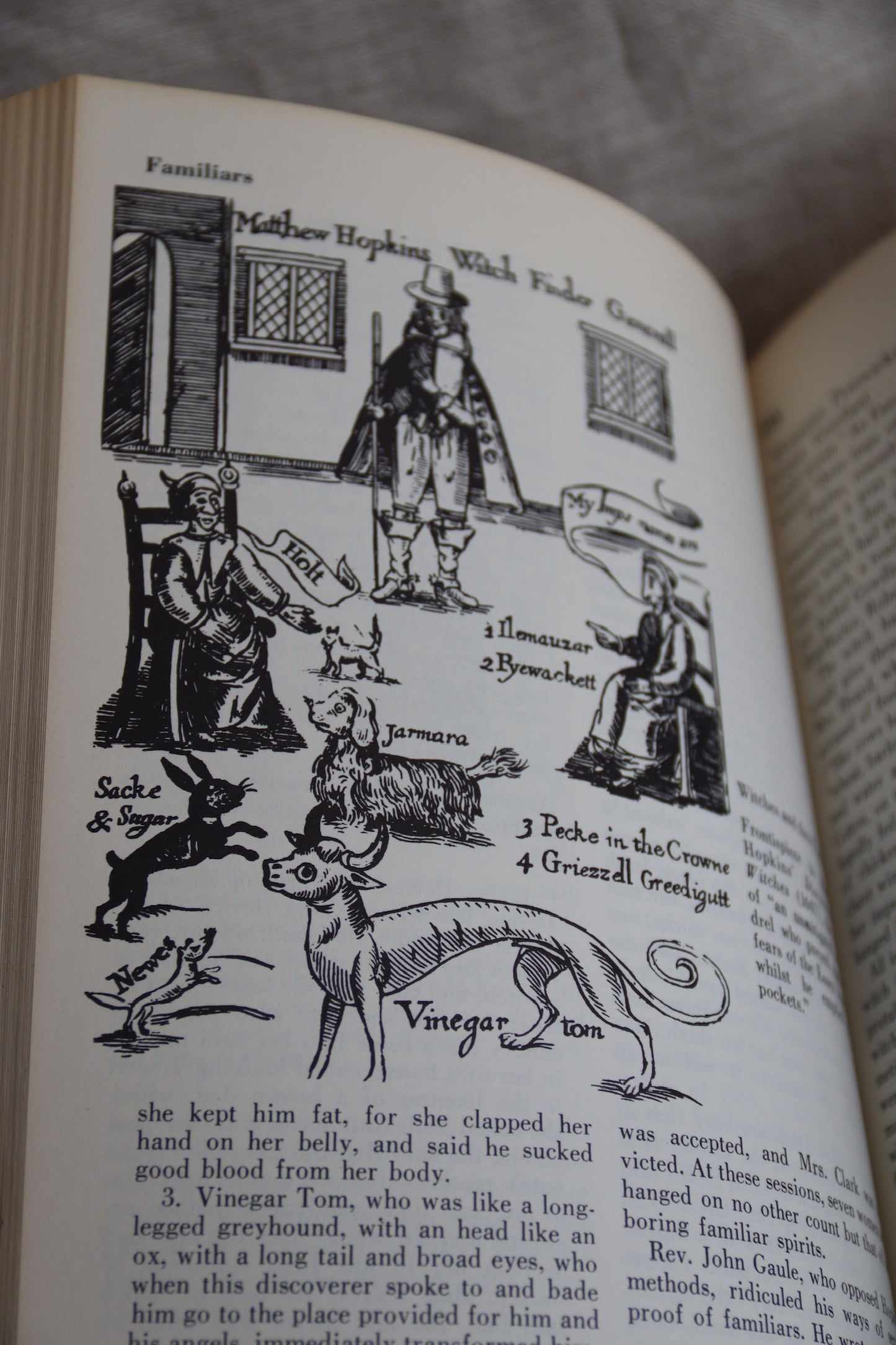 The Encyclopedia of Witchcraft and  Demonology by Rossell Hope Robbins