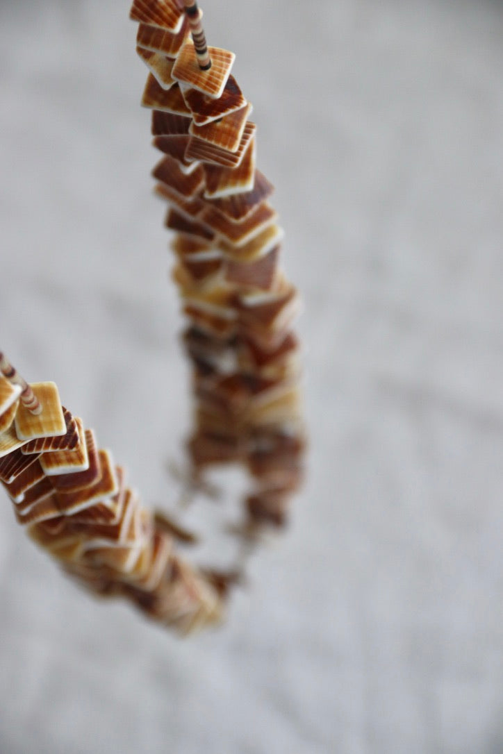 Double Strand Long Shell Necklace