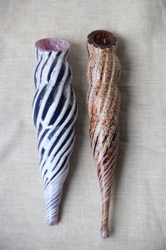 Set of 2 Handmade Glass Shells