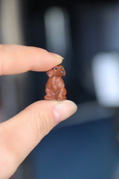 Miniature dog