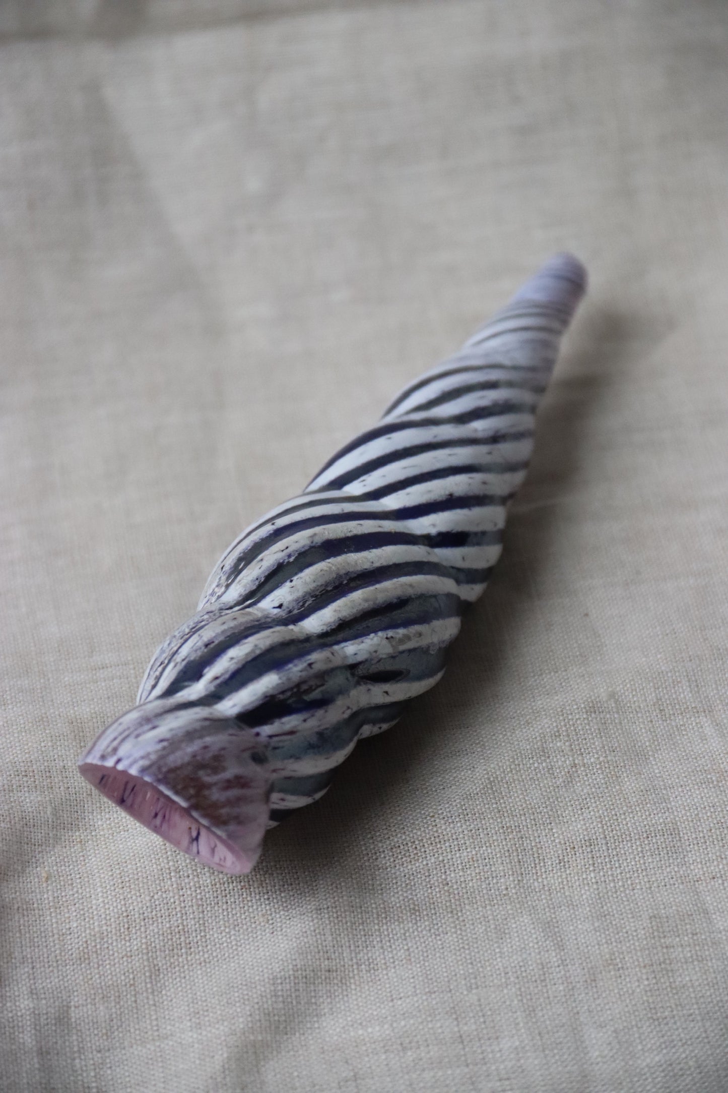 Set of 2 Handmade Glass Shells