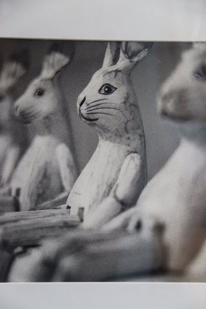 Signed "Rabbits" Photograph