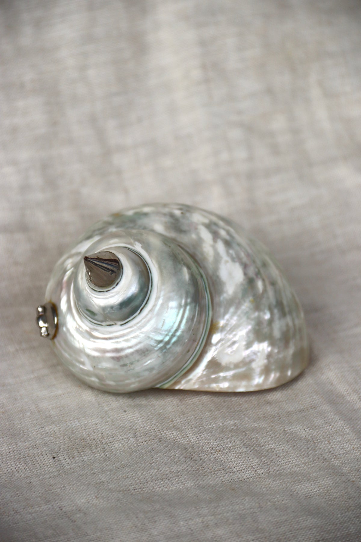 Vintage Shell Trinket Box