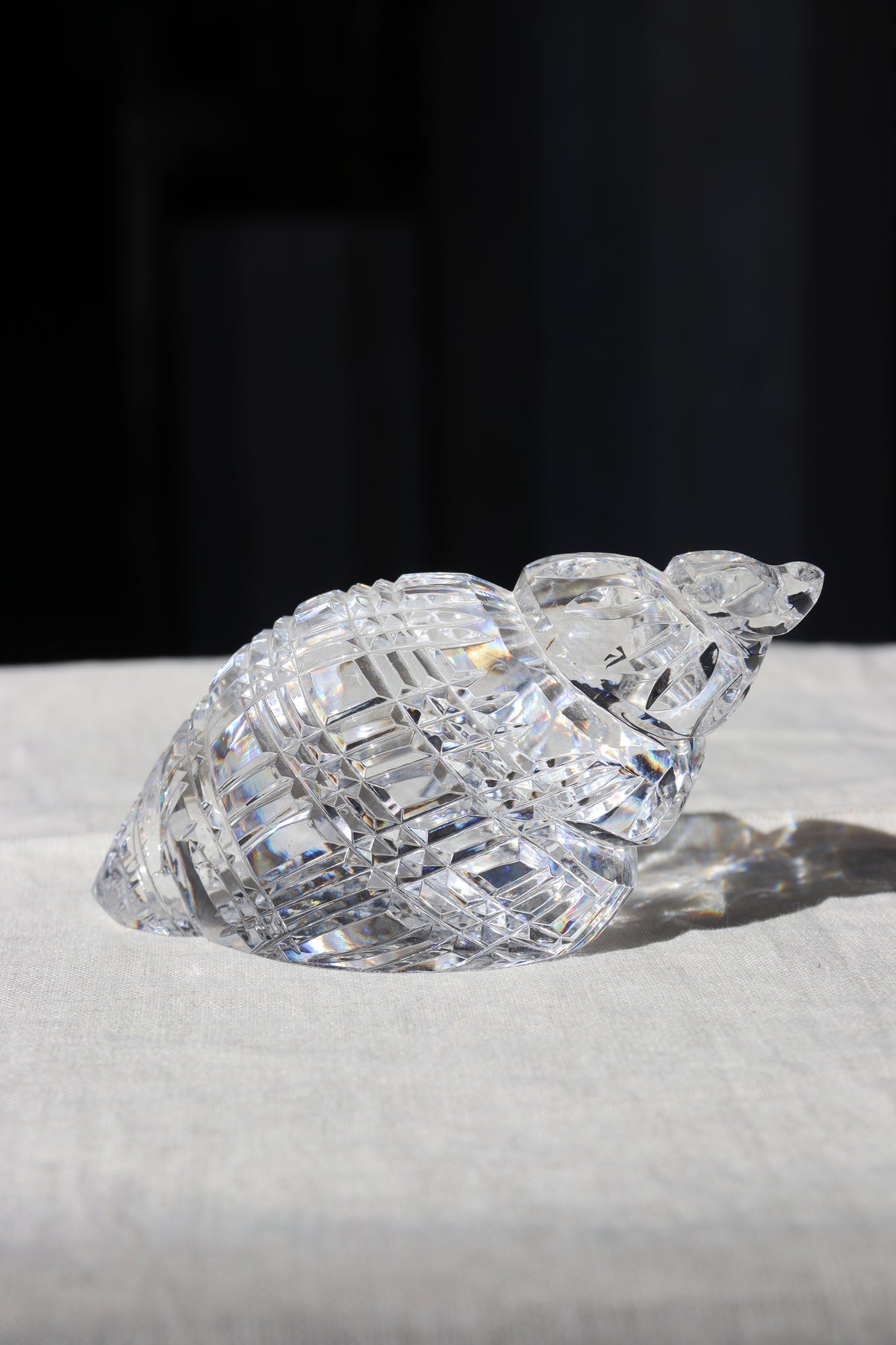 Waterford Crystal Shell Paperweight