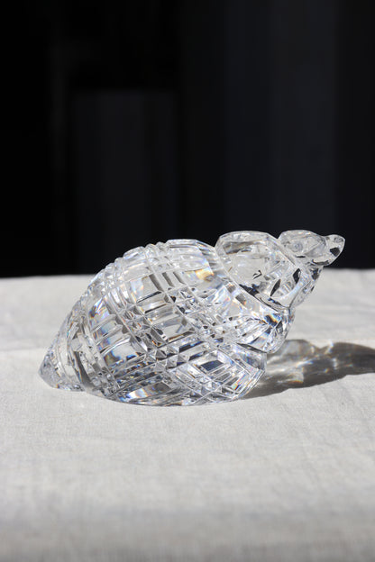 Waterford Crystal Shell Paperweight