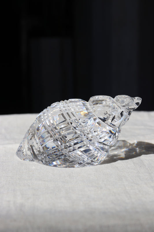 Waterford Crystal Shell Paperweight
