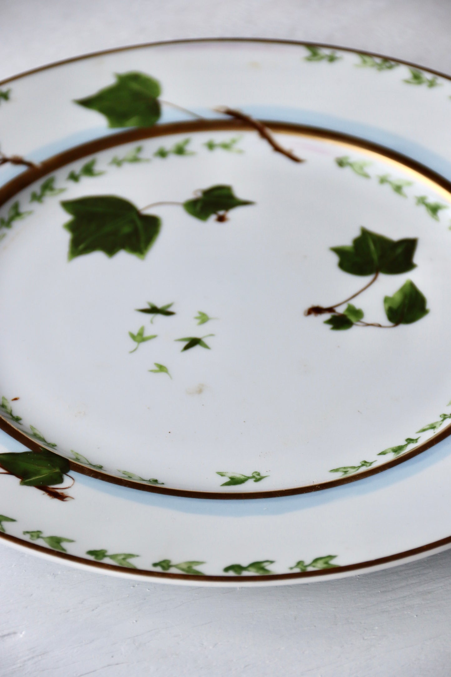 Raynaud Limoges Verdures Porcelain Plate
