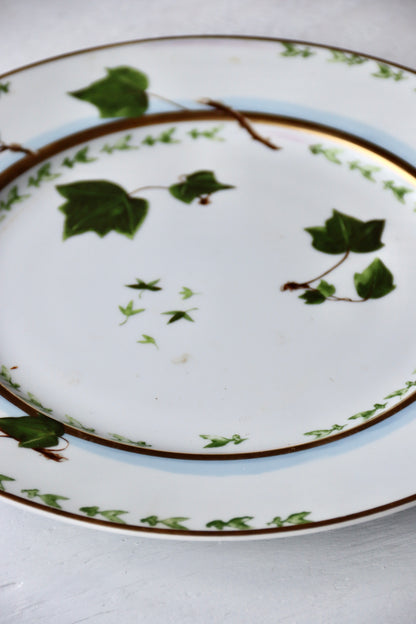 Raynaud Limoges Verdures Porcelain Plate