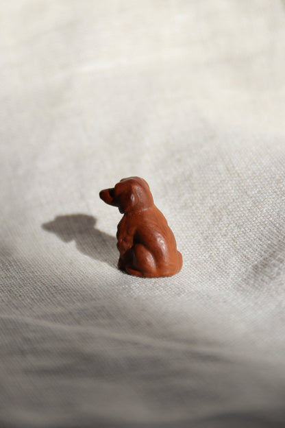 Miniature dog