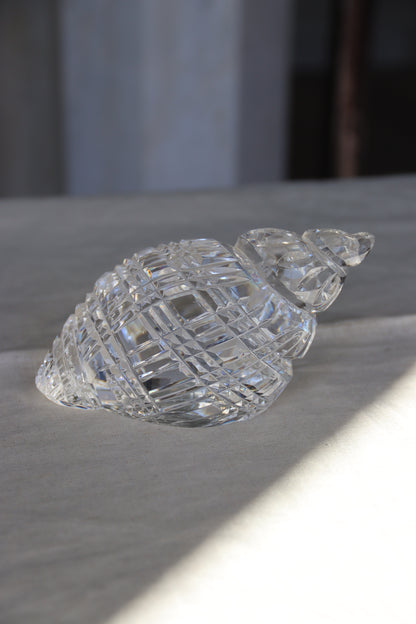 Waterford Crystal Shell Paperweight