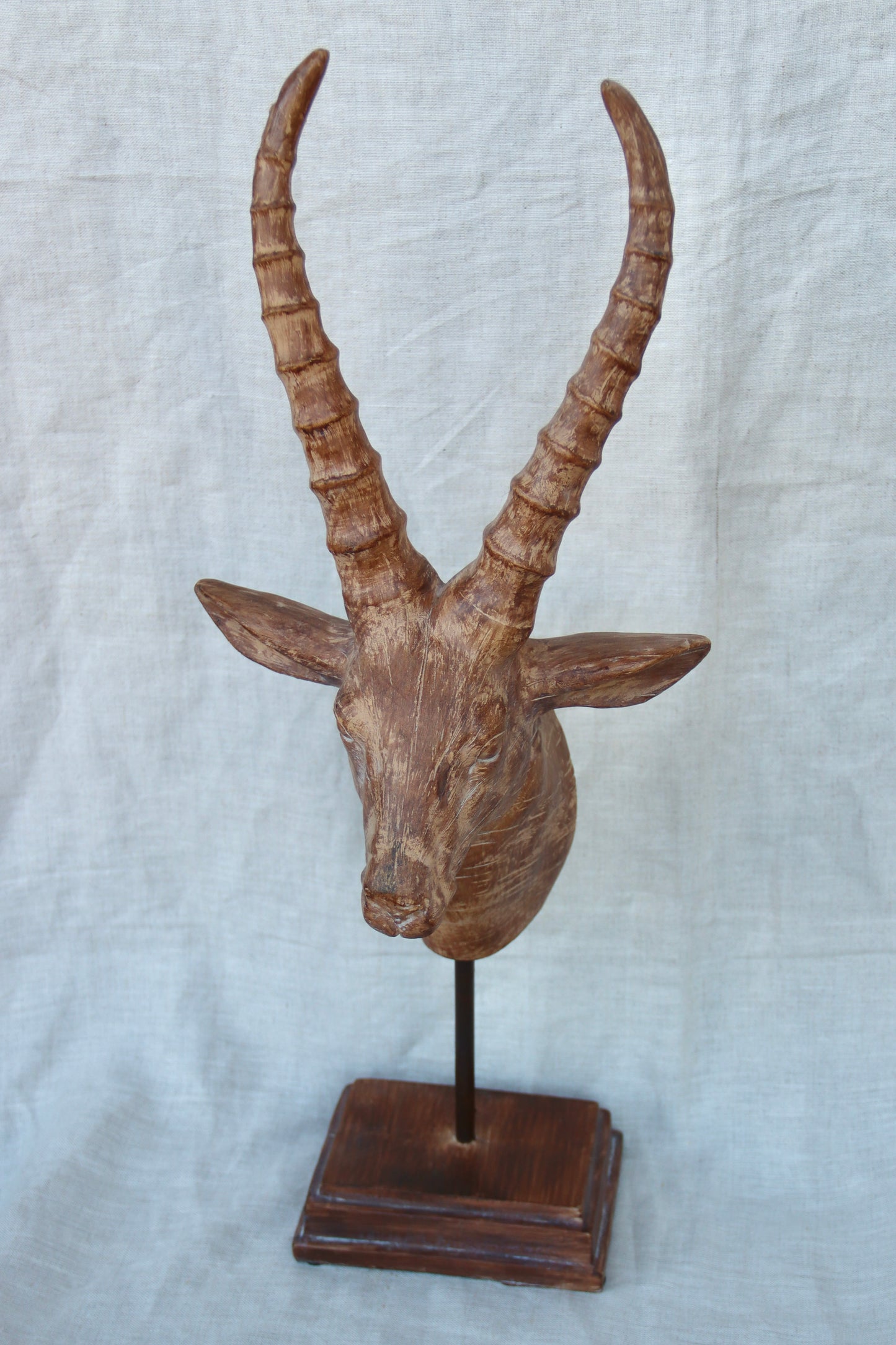 Antelope Head