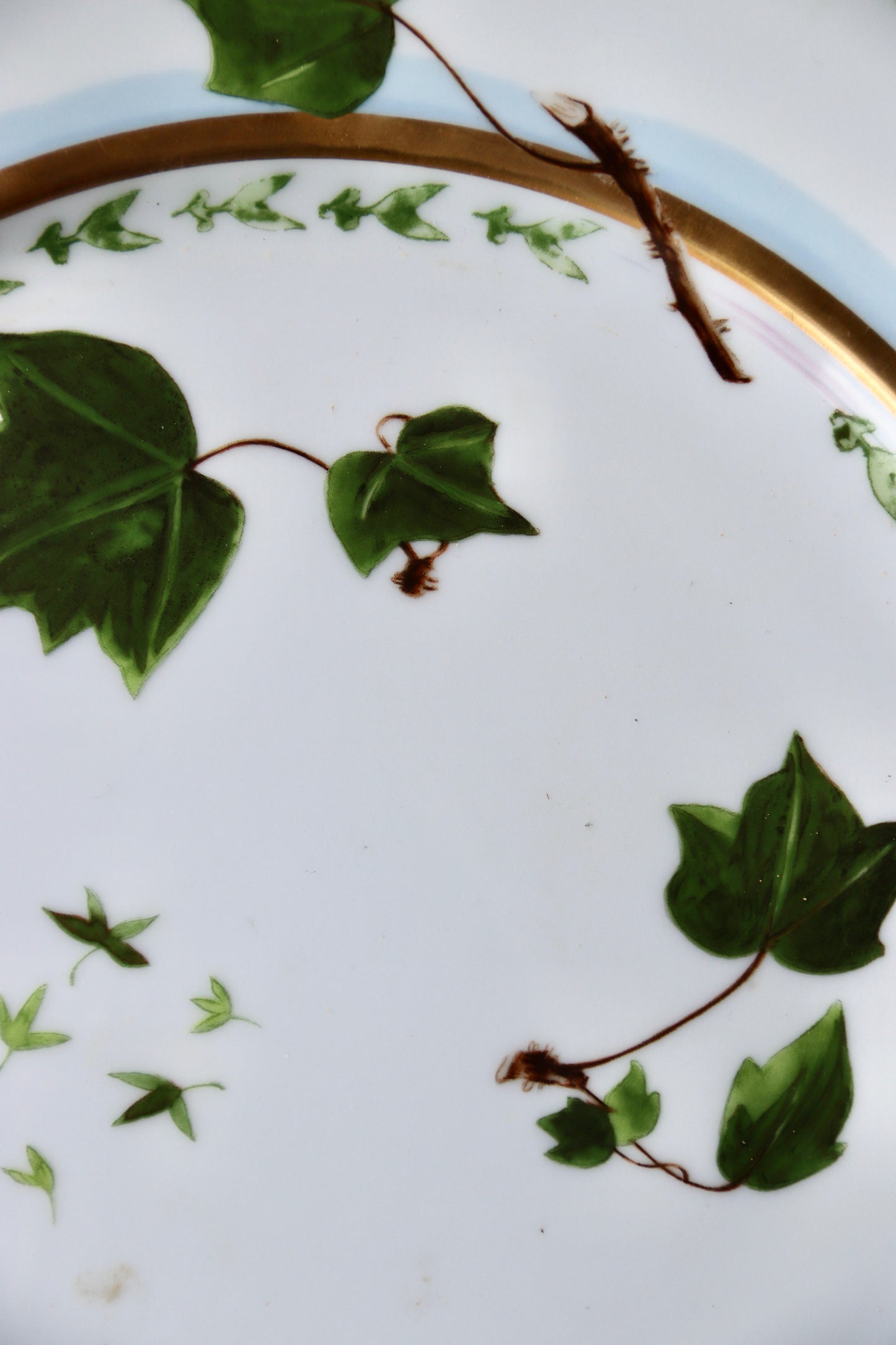 Raynaud Limoges Verdures Porcelain Plate